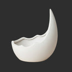 Rhinoceros Horn Shape Ceramic Flower Pot Green Plant Pot Succulent Planter Cactus Bonsai Pot Flower Container Home Decoration