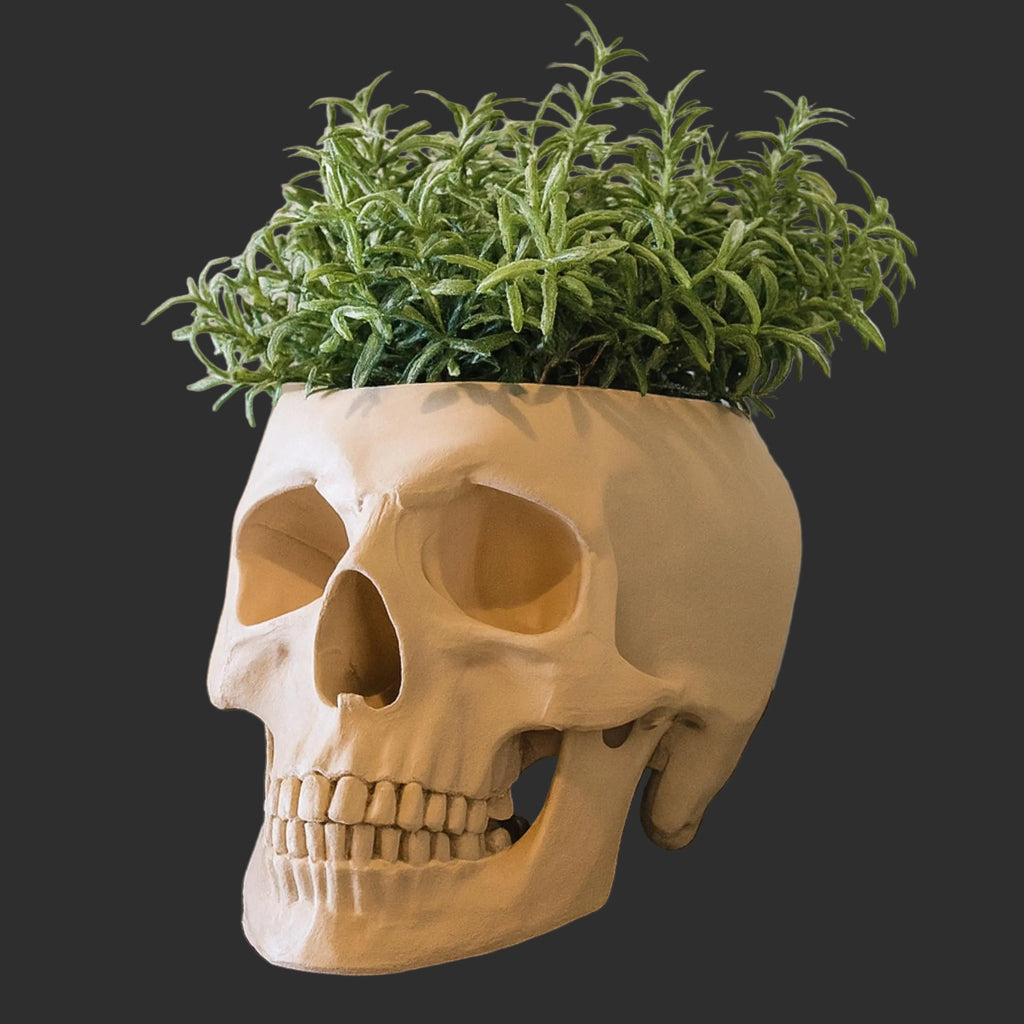 Skull Planter Pot - Plant Pot 3D Printed - Human Skull Replica - Halloween Decor - Plant Horror Gothic - Succulent Planter - Memento Mori
