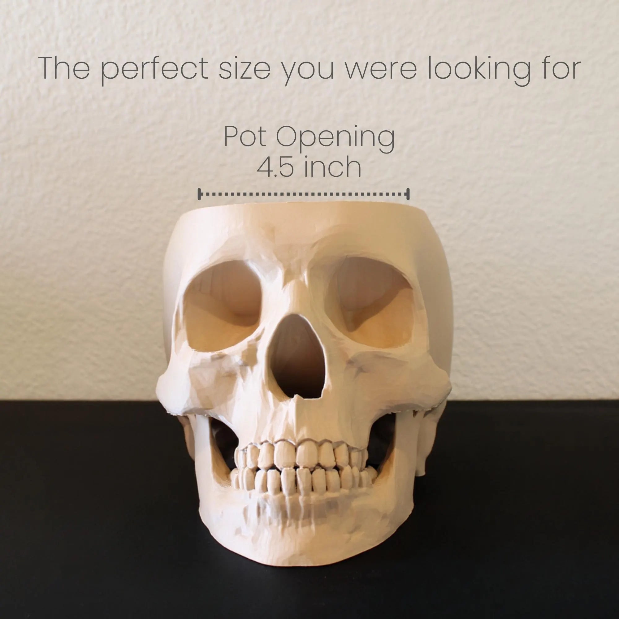 Skull Planter Pot - Plant Pot 3D Printed - Human Skull Replica - Halloween Decor - Plant Horror Gothic - Succulent Planter - Memento Mori