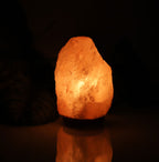 Crystal Salt Lamp Socket Lamp Creative Decoration Gift Rose Salt Lamp Night Light Bedside Lamp
