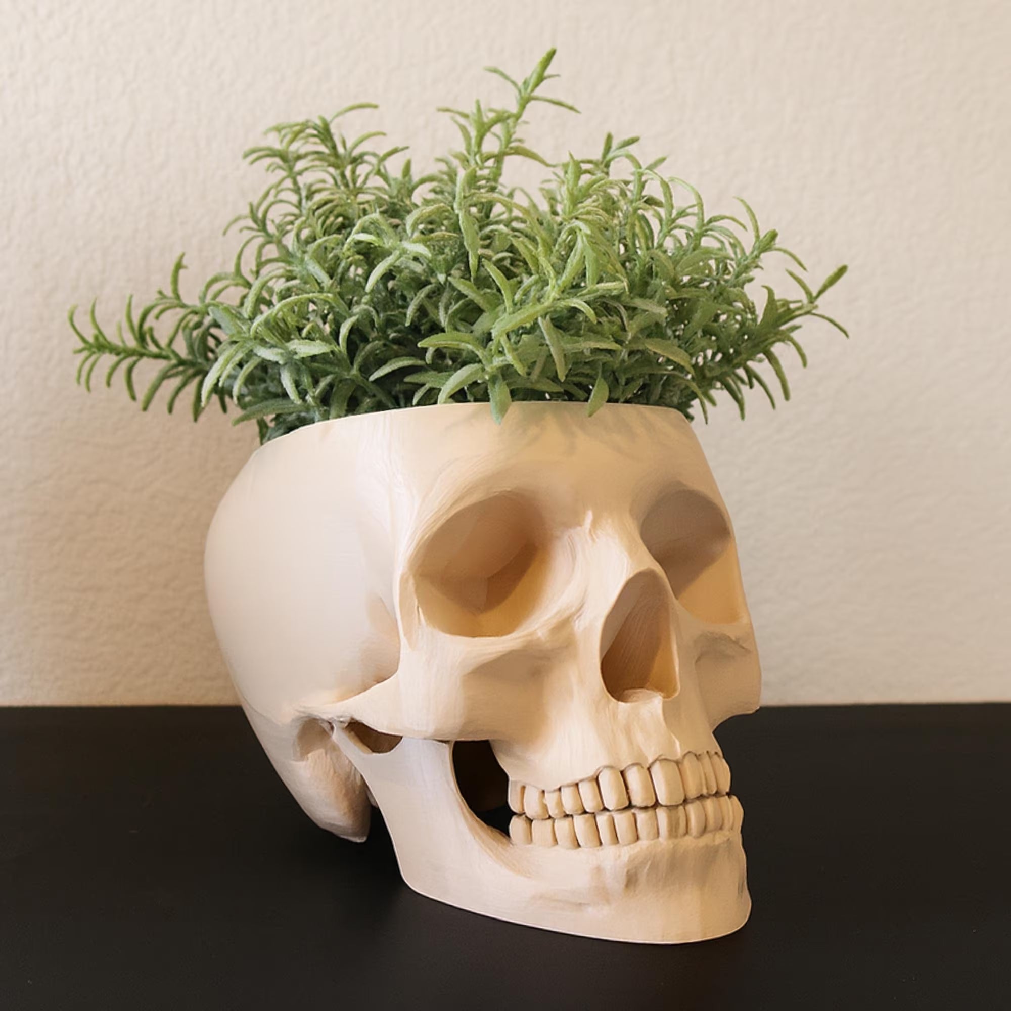 Skull Planter Pot - Plant Pot 3D Printed - Human Skull Replica - Halloween Decor - Plant Horror Gothic - Succulent Planter - Memento Mori