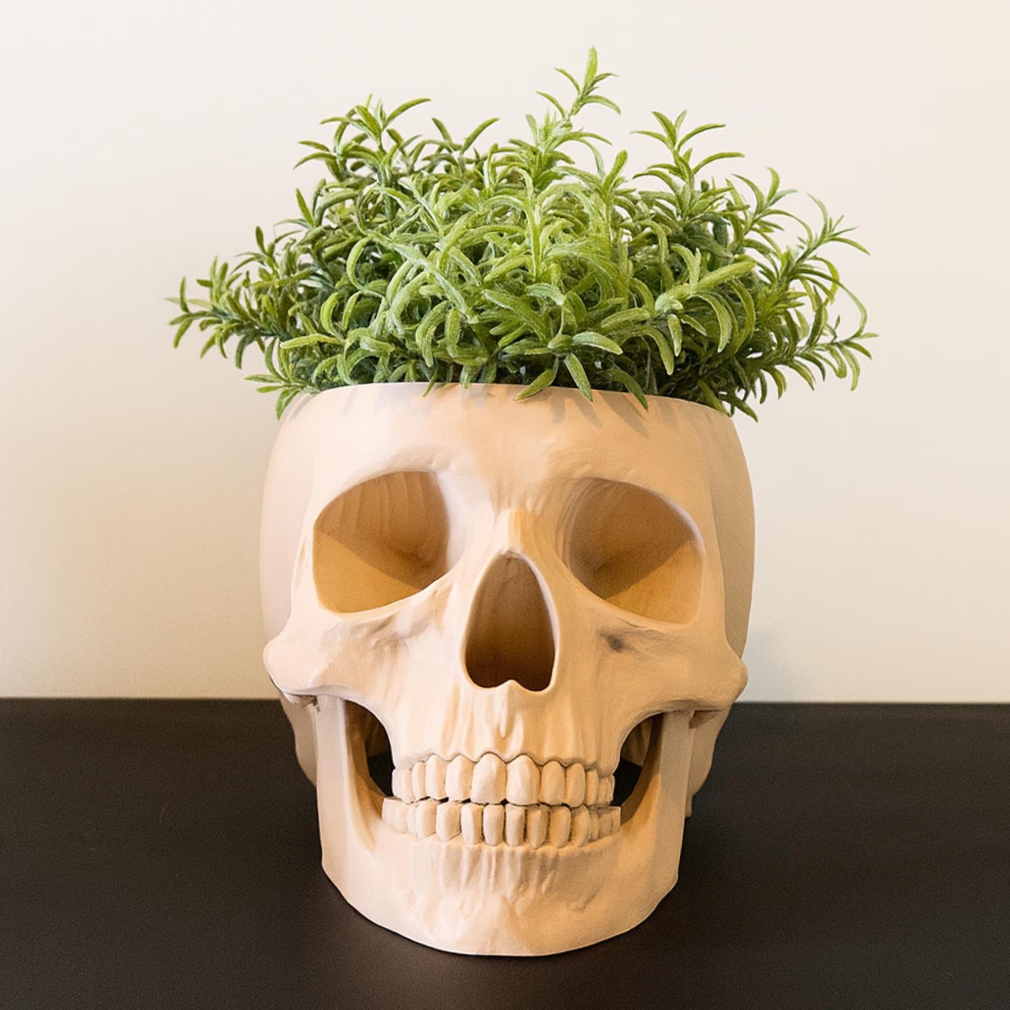 Skull Planter Pot - Plant Pot 3D Printed - Human Skull Replica - Halloween Decor - Plant Horror Gothic - Succulent Planter - Memento Mori