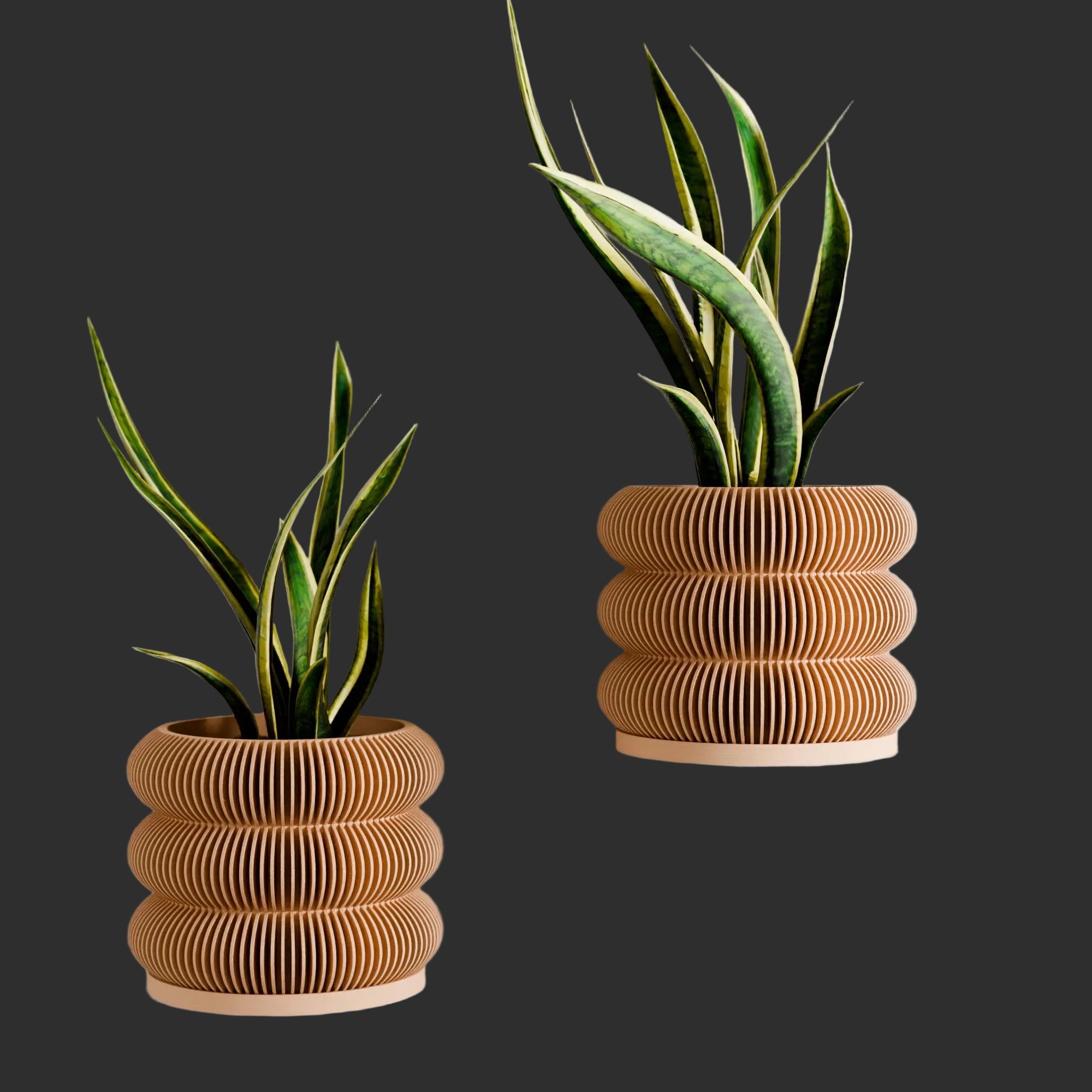 Hanging TRIPLE BUBBLE Wall Planter, Ribbed Design with Drainage and Drip Tray, 4,6,8 Inches, Green Black Navy Pink White LARGE Plant Pot