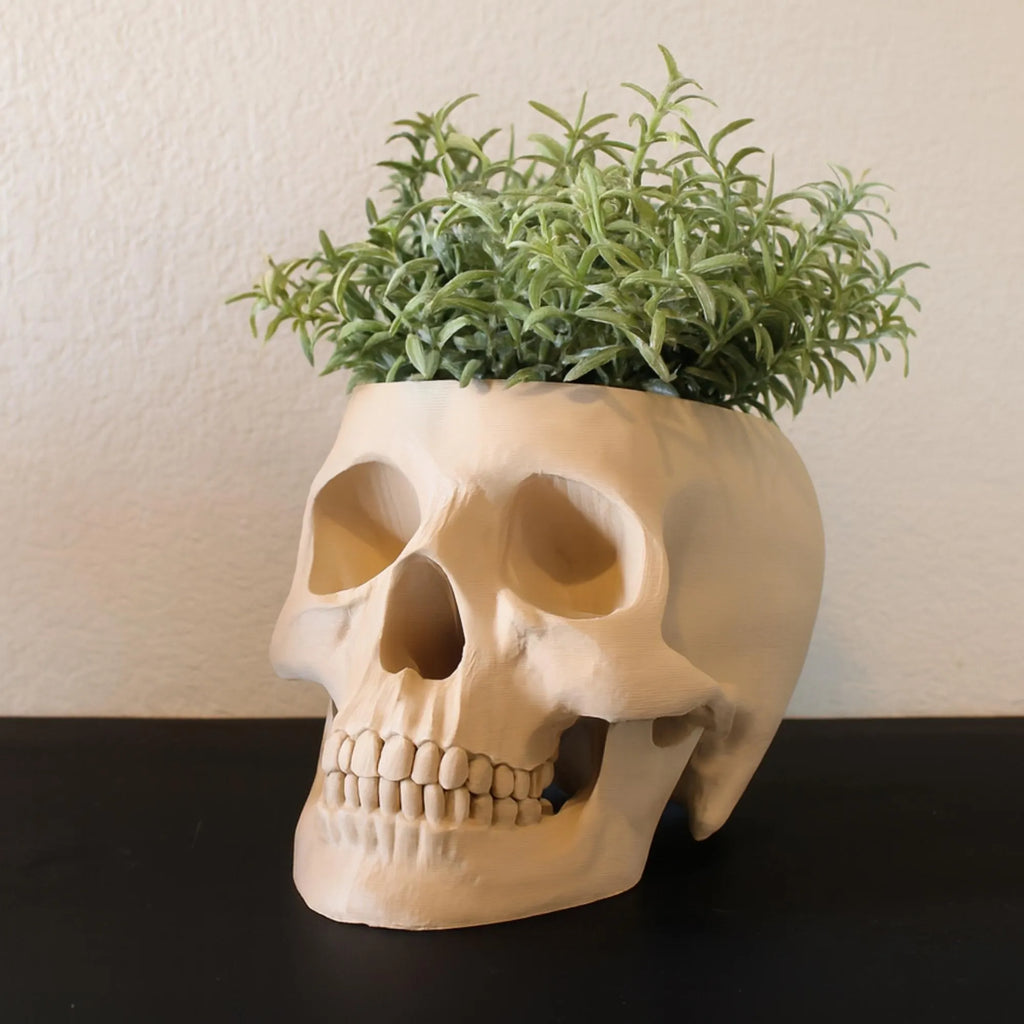 Skull Planter Pot - Plant Pot 3D Printed - Human Skull Replica - Halloween Decor - Plant Horror Gothic - Succulent Planter - Memento Mori
